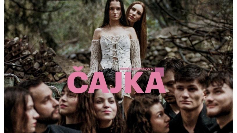 Čajka